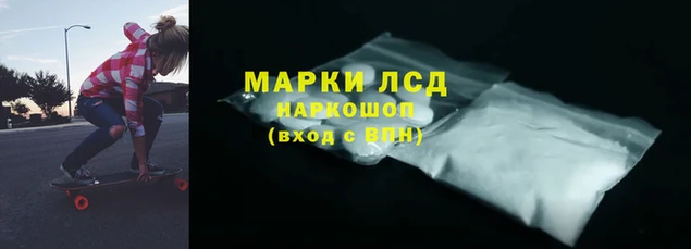 индика Алзамай