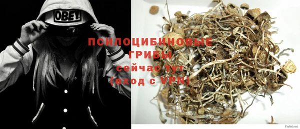 кокс Алексин