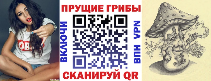 hydra зеркало  где купить   Грязи  Галлюциногенные грибы ЛСД 